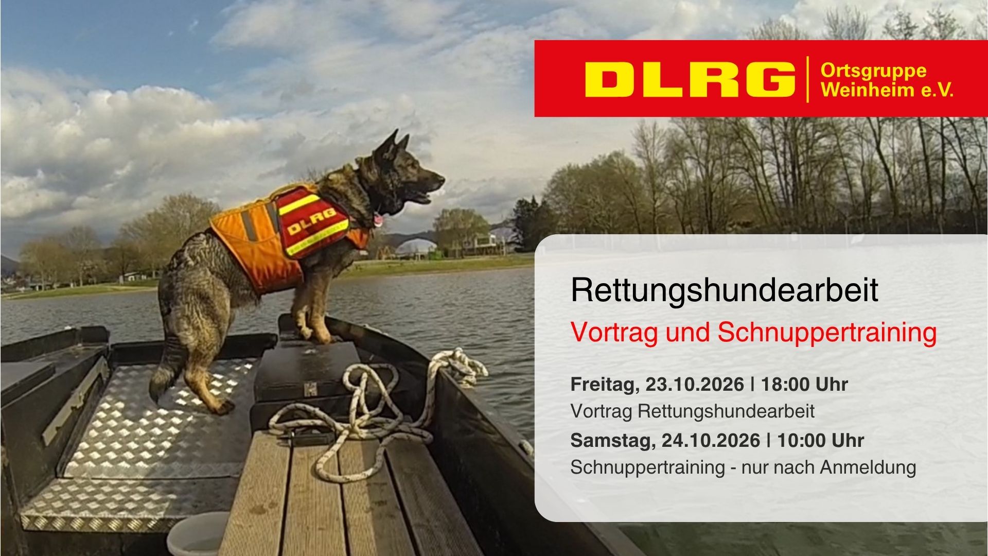 Rettungshunde Schnuppertraining Wasserortung Weinheim Rettungshunde Schnuppertraining Wasserortung Weinheim