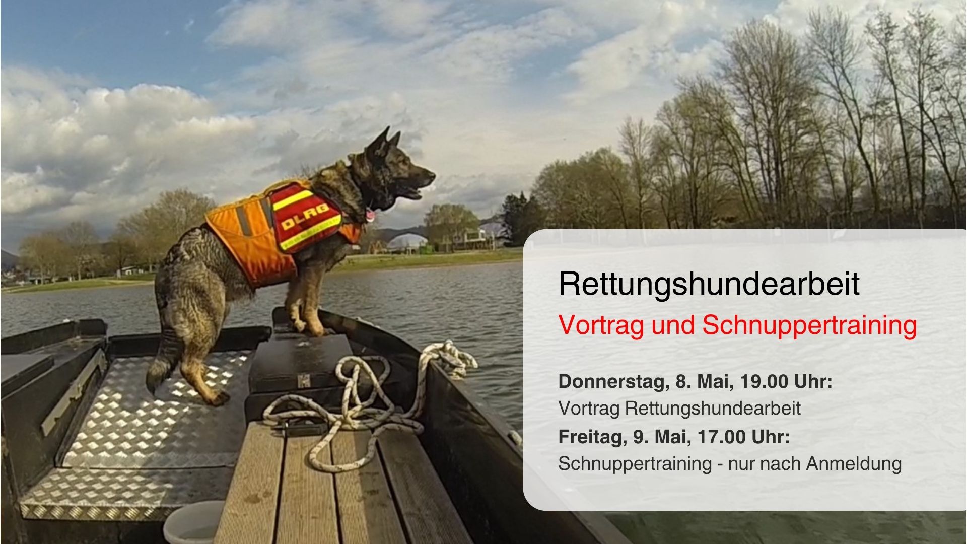 Rettungshunde DLRG Weinheim Vortrag und Schnuppertraining Rettungshunde DLRG Weinheim Vortrag und Schnuppertraining